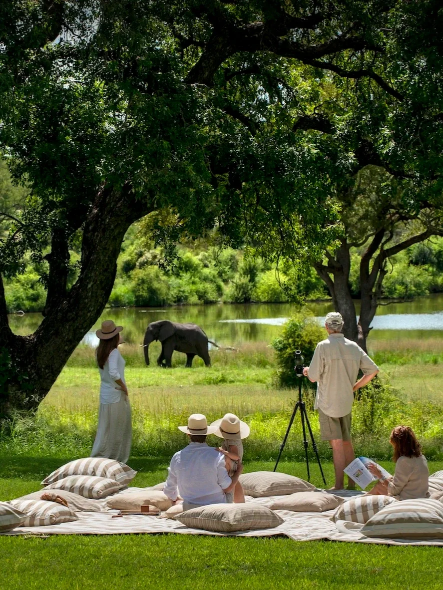 Group of people sitting on a blanket with pillows by a river, observing elephants in the distance under trees.