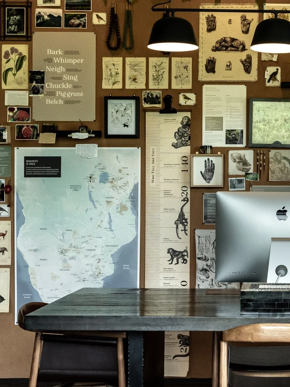 A wall filled with educational posters about animals, including images of birds, mammals, and other wildlife, alongside a large map of Africa and various informational sheets and pictures. Two black pendant lamps hang from the ceiling, illuminating the wall.