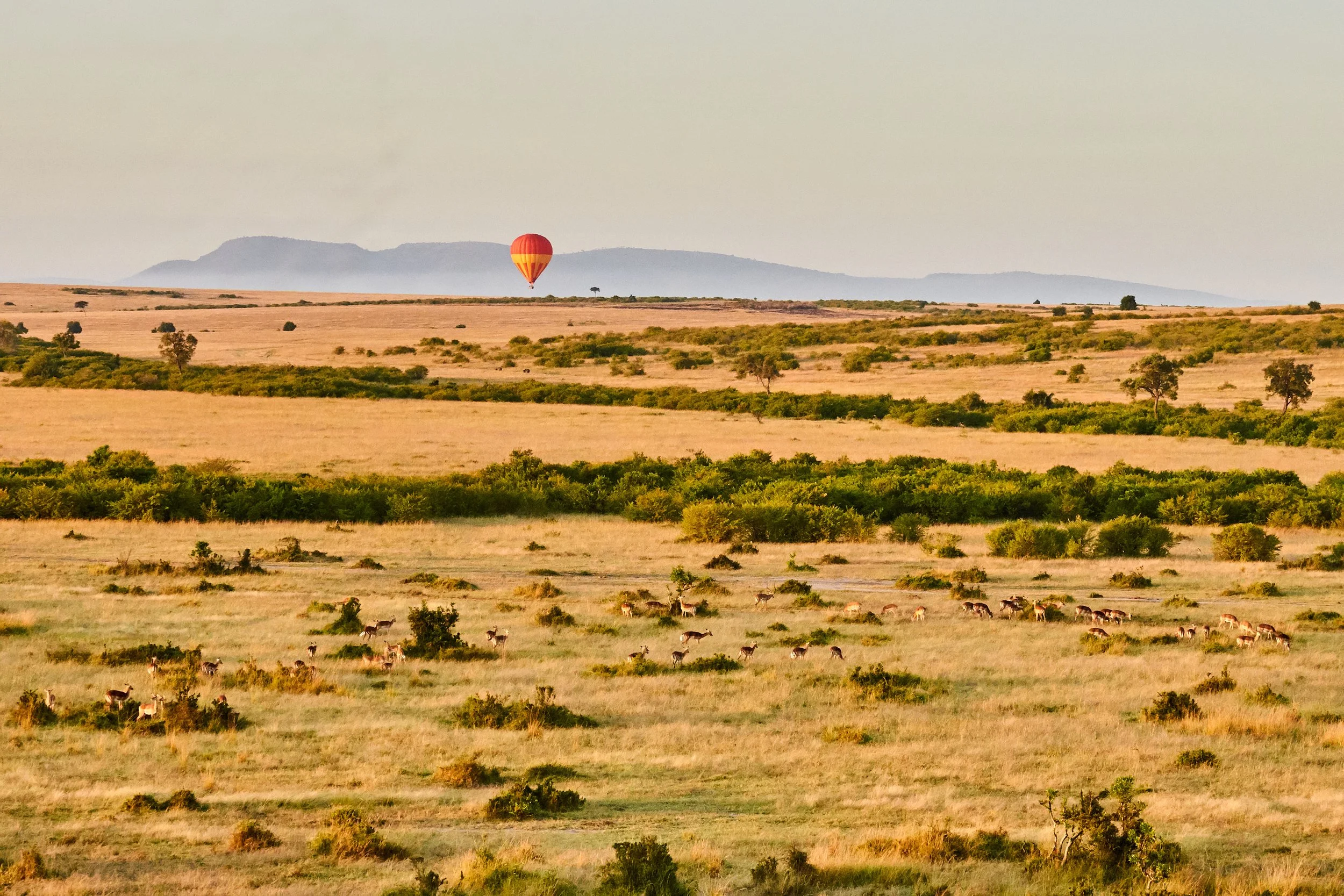 A vast savannah landscape with scattered trees and grazing animals, with a red and yellow hot air balloon in the distance and mountains on the horizon.