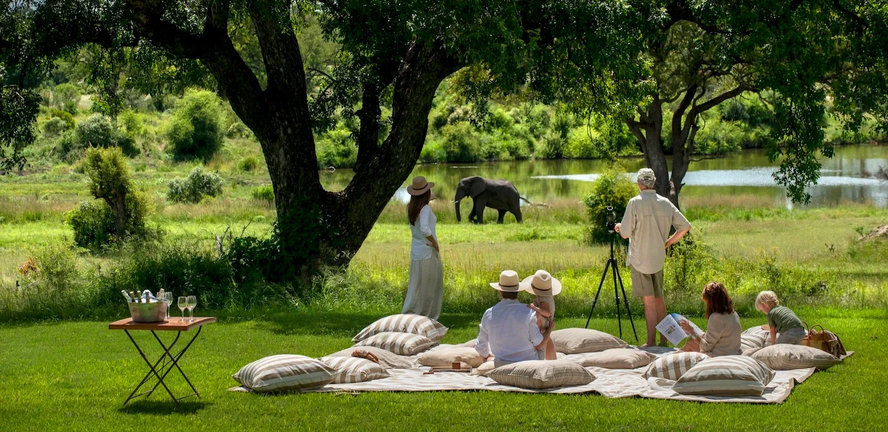 People having a picnic near a river with elephants grazing in the background. They are sitting on cushions on the grass under trees. Some are reading, and one person is filming with a camera on a tripod. A small table with drinks and glasses is nearby.