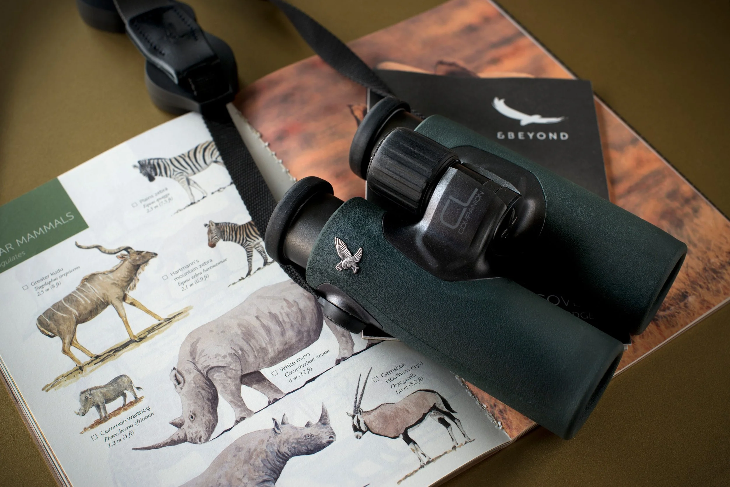 Sossusvlei-Desert-Lodge-andBeyonder-Swarovski-binoculars-and-guides-journal-1-Low-Resolution-Widt