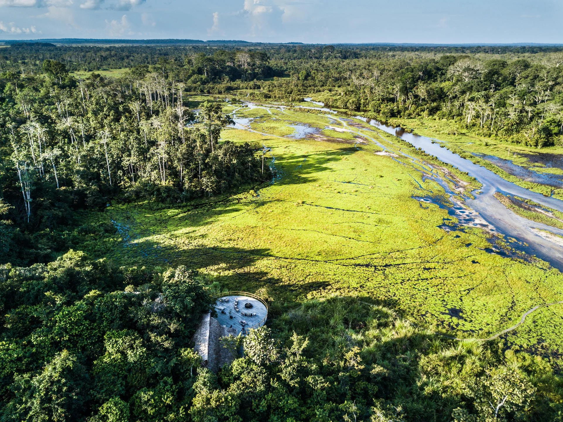 Aerial view of a lush green marshland with winding waterways and dense forest, with a small building surrounded by trees in the foreground.