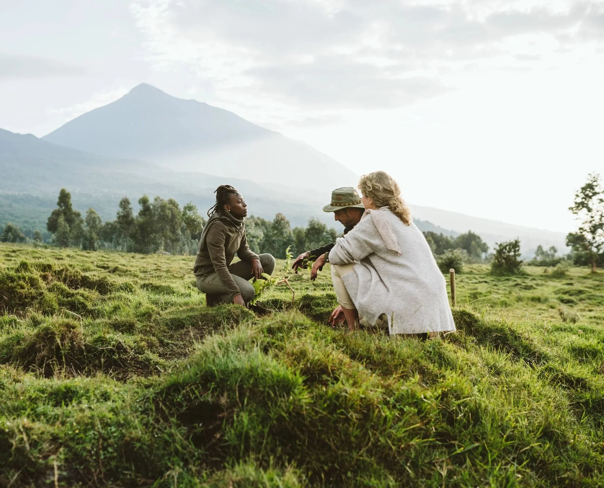 Three people working together planting a small tree in a green field with mountains in the background.