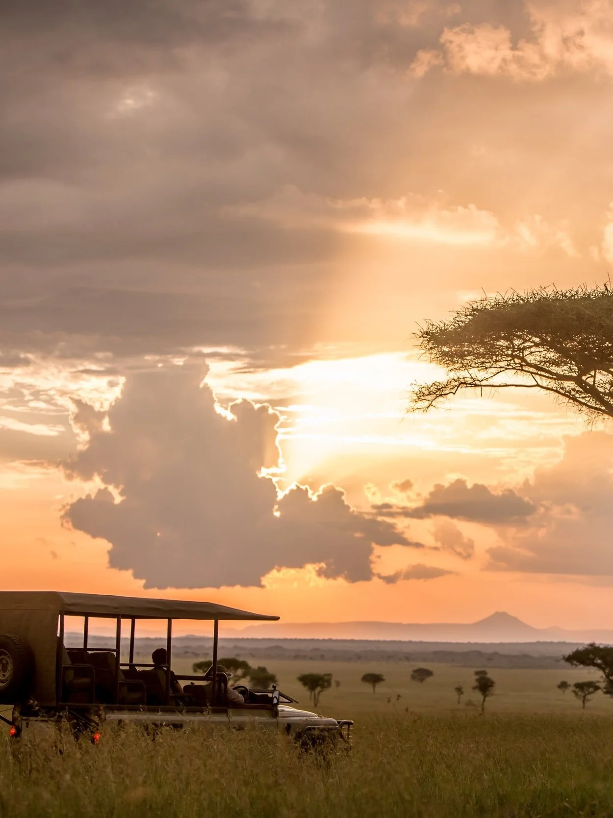 African savanna landscape during sunset with a safari vehicle and two passengers, sparse trees, and a mountain in the distance under a partly cloudy sky.