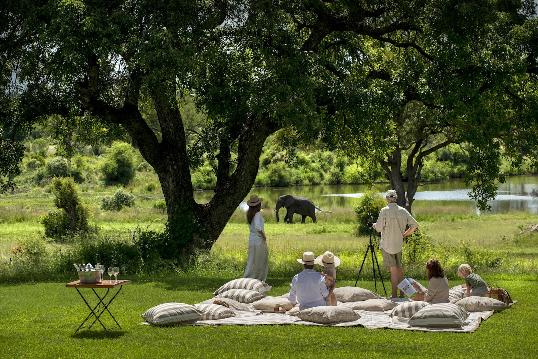 People sitting on cushions under trees near a pond, with an elephant in the background and a person filming.