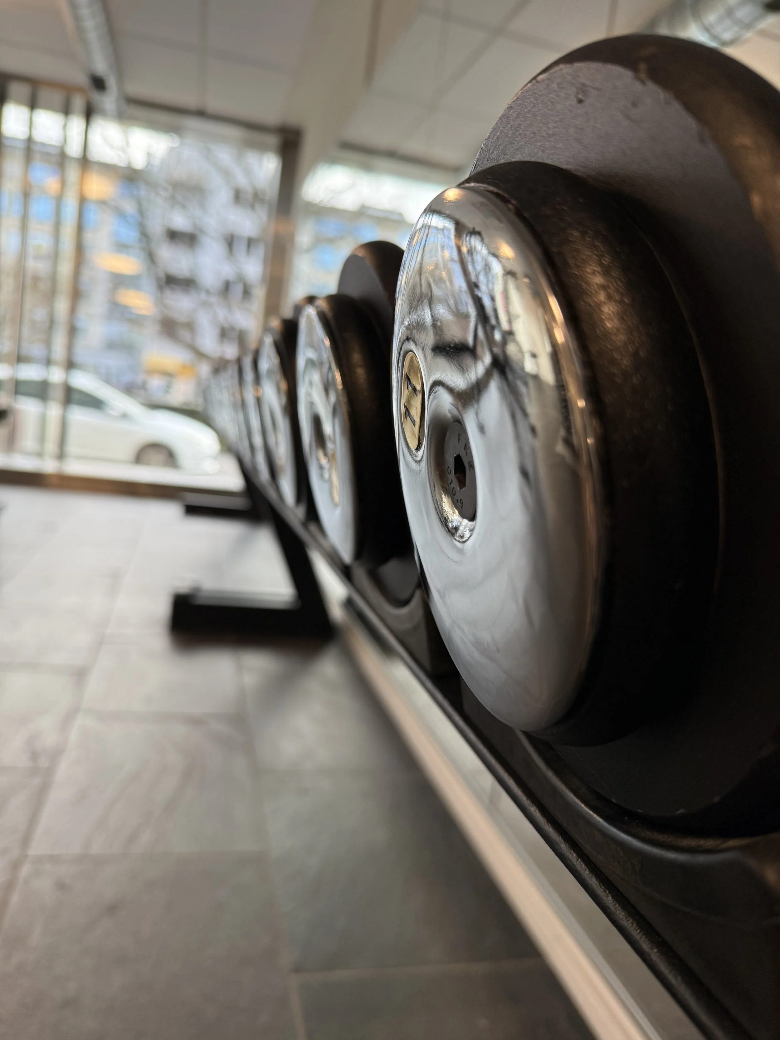 Studio Basel. Fitnessstudio Basel. Training Basel. Fitness Basel.