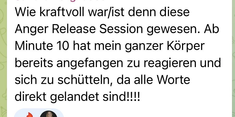 Der Text beschreibt eine Erfahrung mit einer Anger Release Session, bei der ab Minute 10 der ganze Körper zu reagieren beginnt und man sich zu schütteln beginnt, da alle Worte direkt angekommen sind.