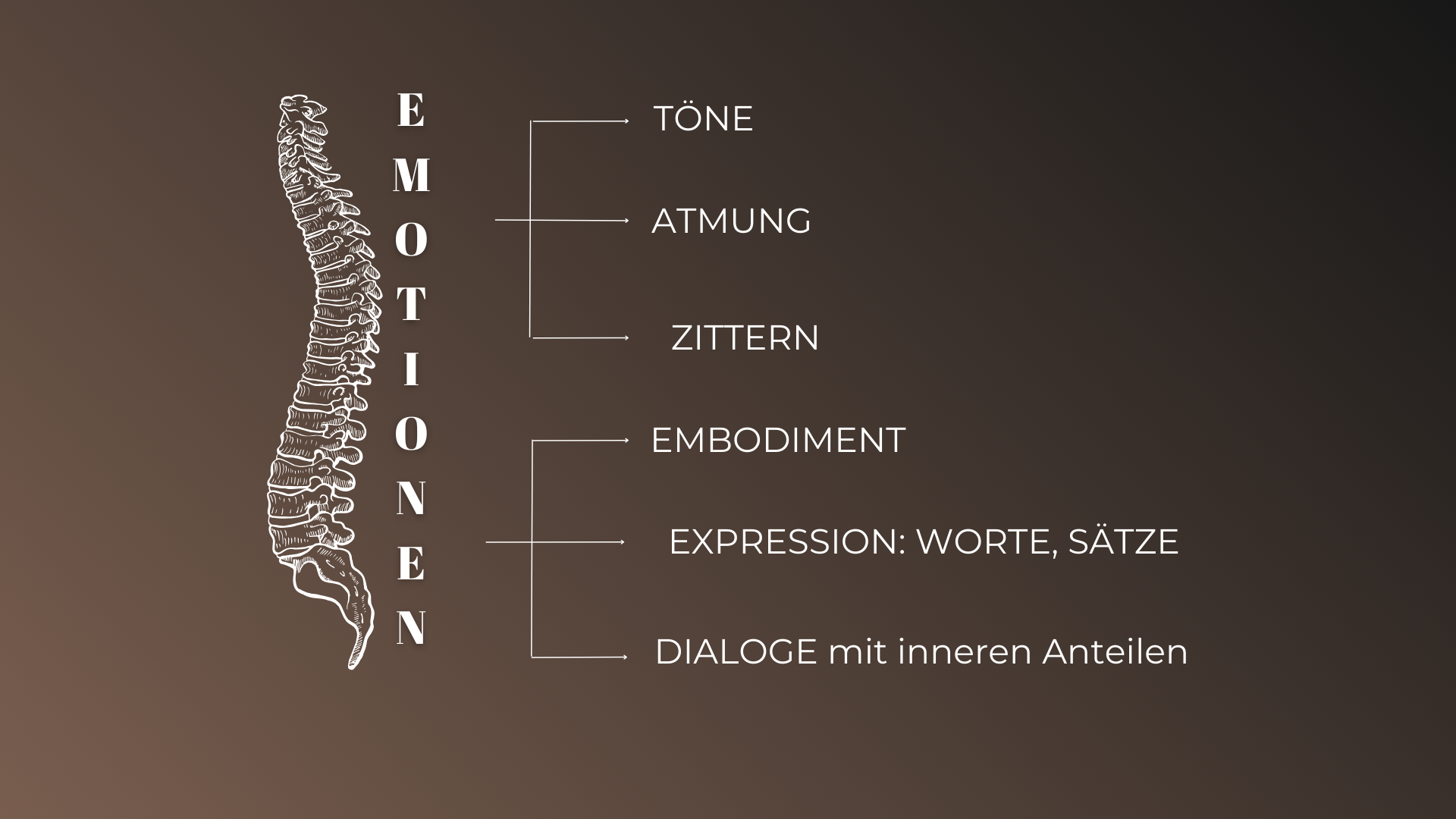Grafik des menschlichen Rückenmarks mit Beschriftungen zu Emotionsmerkmalen: Töne, Atmung, Zittern, Embodiment, Ausdruck, Dialoge mit inneren Anteilen.