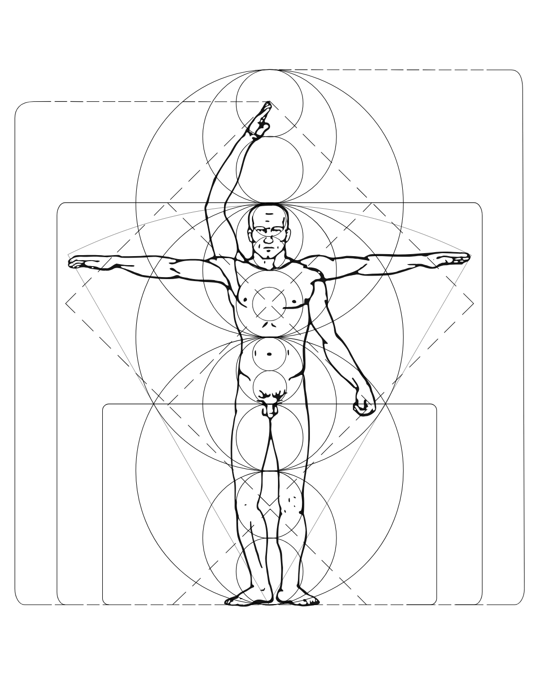 Schnittzeichnung eines menschlichen Körpers im Vitruvian Design, zeigt Muskelgruppen und Proportionen.