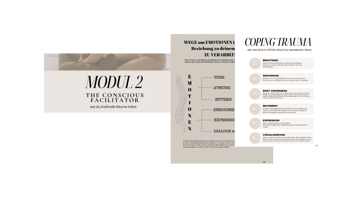 Sechs undotivierte Dokumentenseiten über emotionale Techniken, Atem, Körperbewusstsein und Visualisierung zur Traumabewältigung, mit Text in Deutsch.