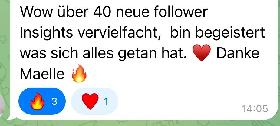 Nachricht in einem Chat, in der jemand seine Begeisterung über mehr als 40 neue Follower sagt, mit Dank an Maelle und Emojis.