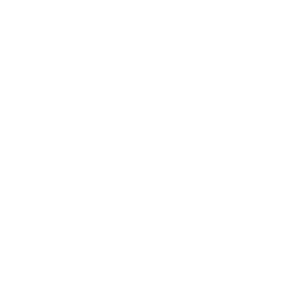 Icon representing leadership development for growing and scaling organisations