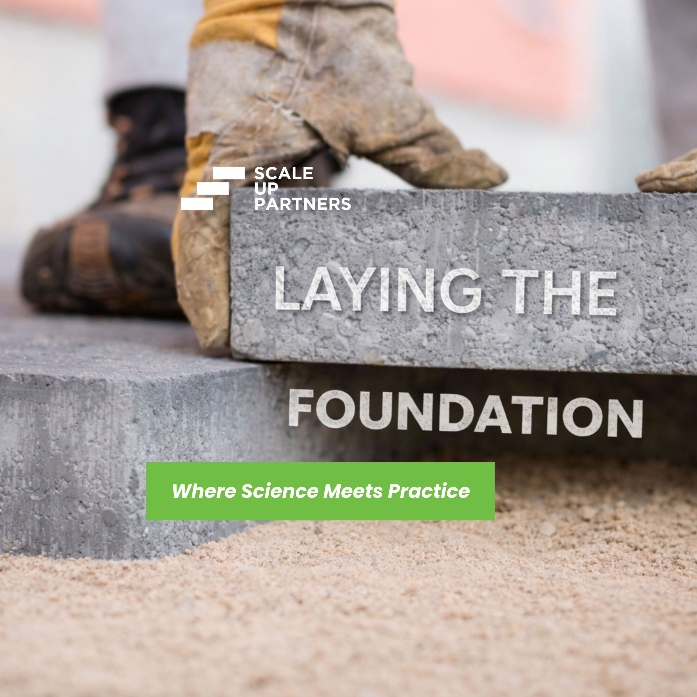 Article image representing deliberate leadership development for business growth