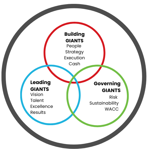Diagram representing Scale Up Partners’ integrated business strategy framework connecting growth, operations, and performance.