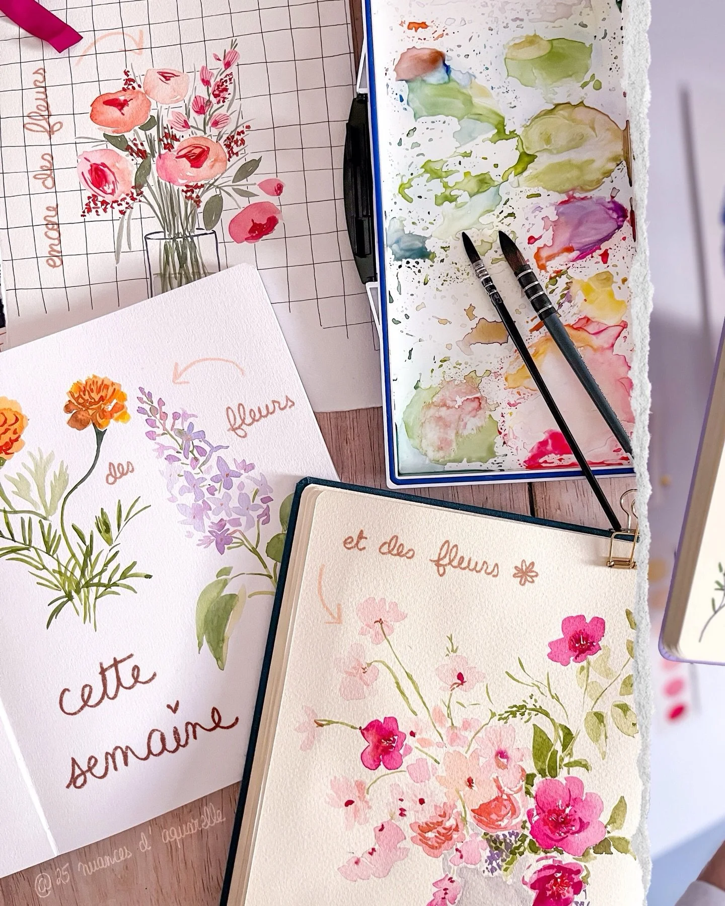 Partage tardif de ce r&eacute;cap en images de cette semaine bien remplie, beaucoup de fleurs &agrave; l&rsquo;aquarelle pour panser la tristesse et la grisaille. Pens&eacute;es &eacute;mues pour la famille qui passera par ici 🫶.
&bull;
Malgr&eacute