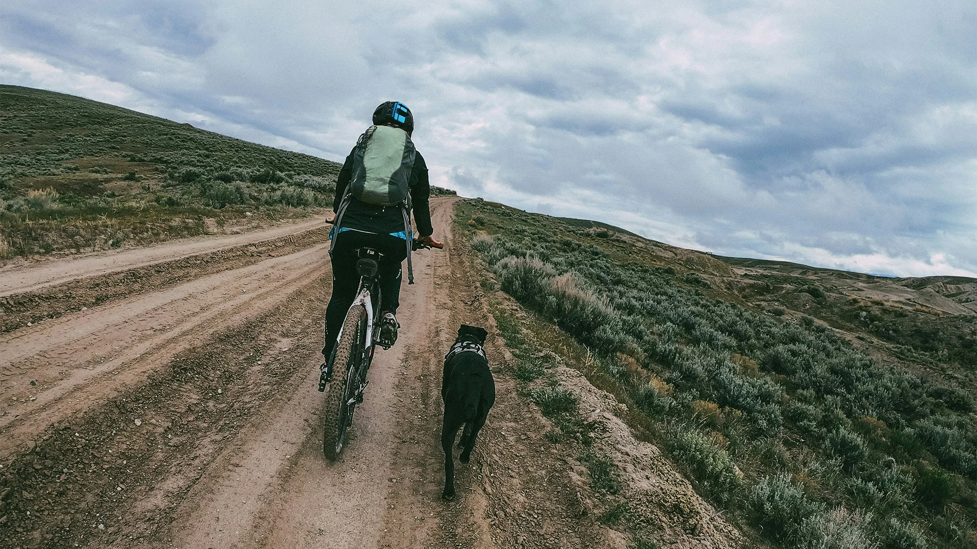 bike_n_dog_16x9.jpg