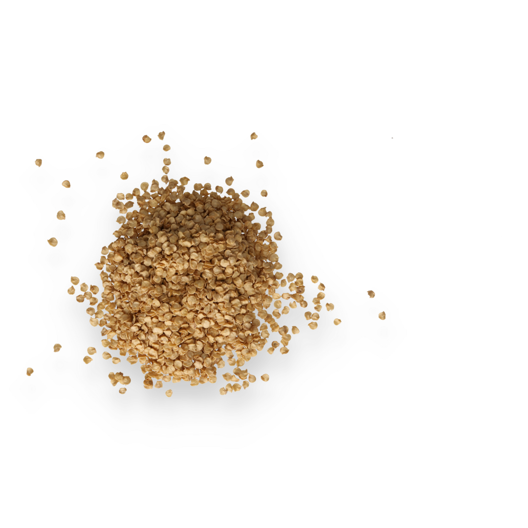 Close-up of a pile of buckwheat grains on a black background.