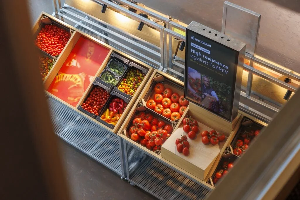Display of various fresh tomatoes in wooden crates at a market or store, with a sign that reads 'High resistance against TOBRFV'.