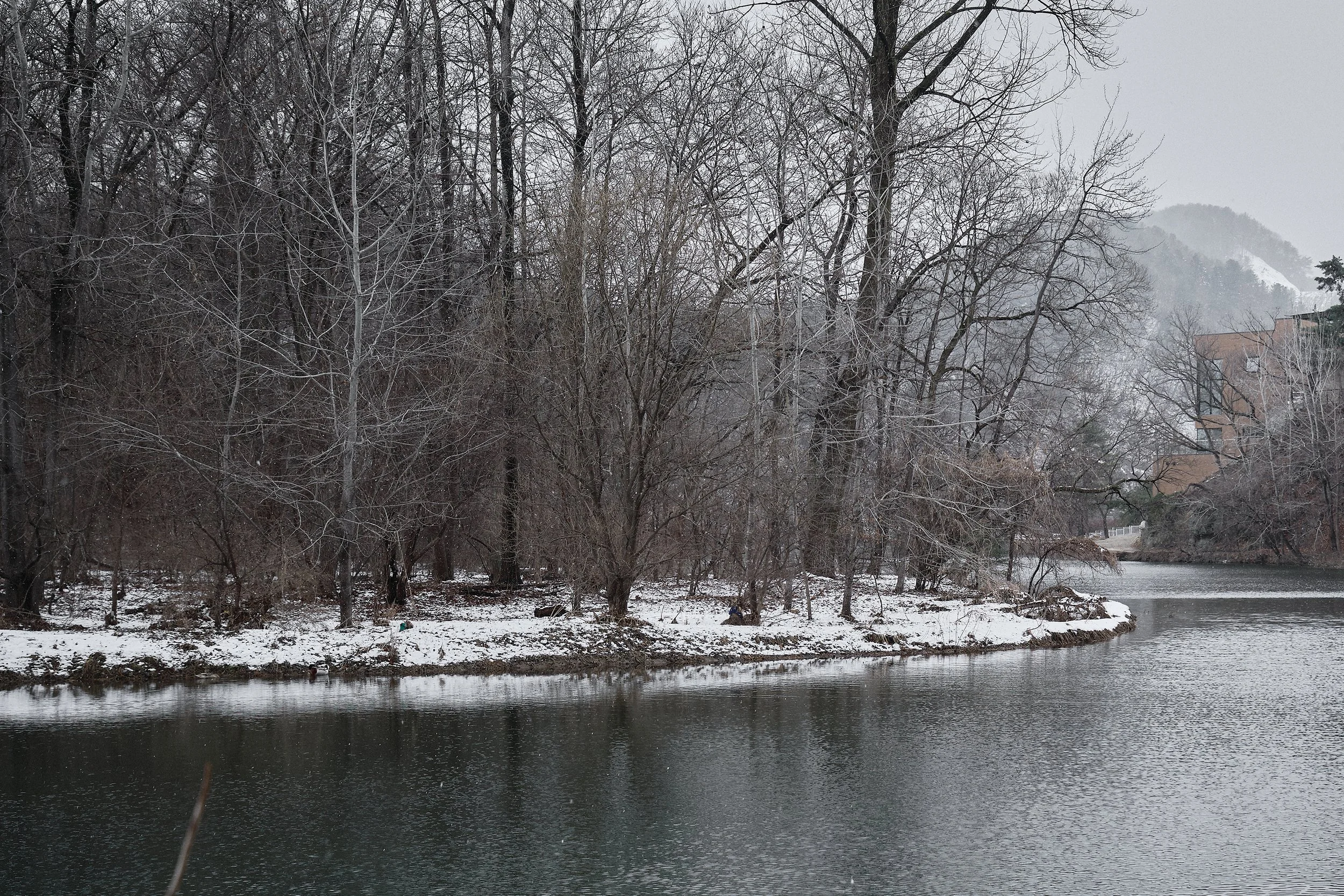 청림재 / Cheongnimjae