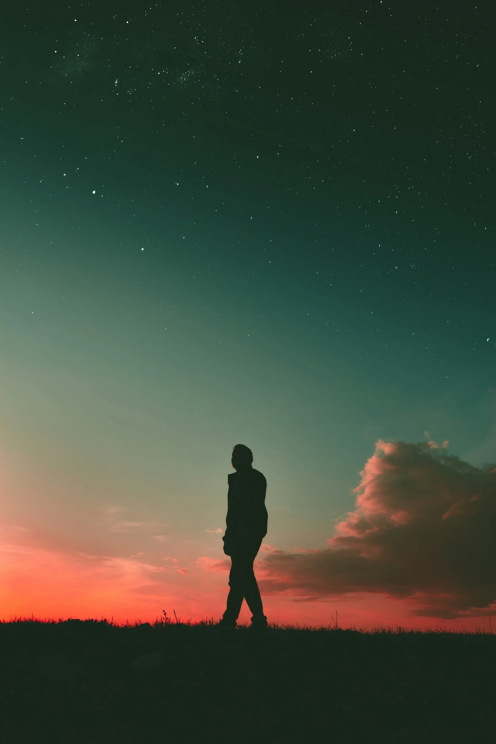 Psychedelics and the Hard Problem: What Theories of Consciousness Make of the 5-MeO-DMT Experience