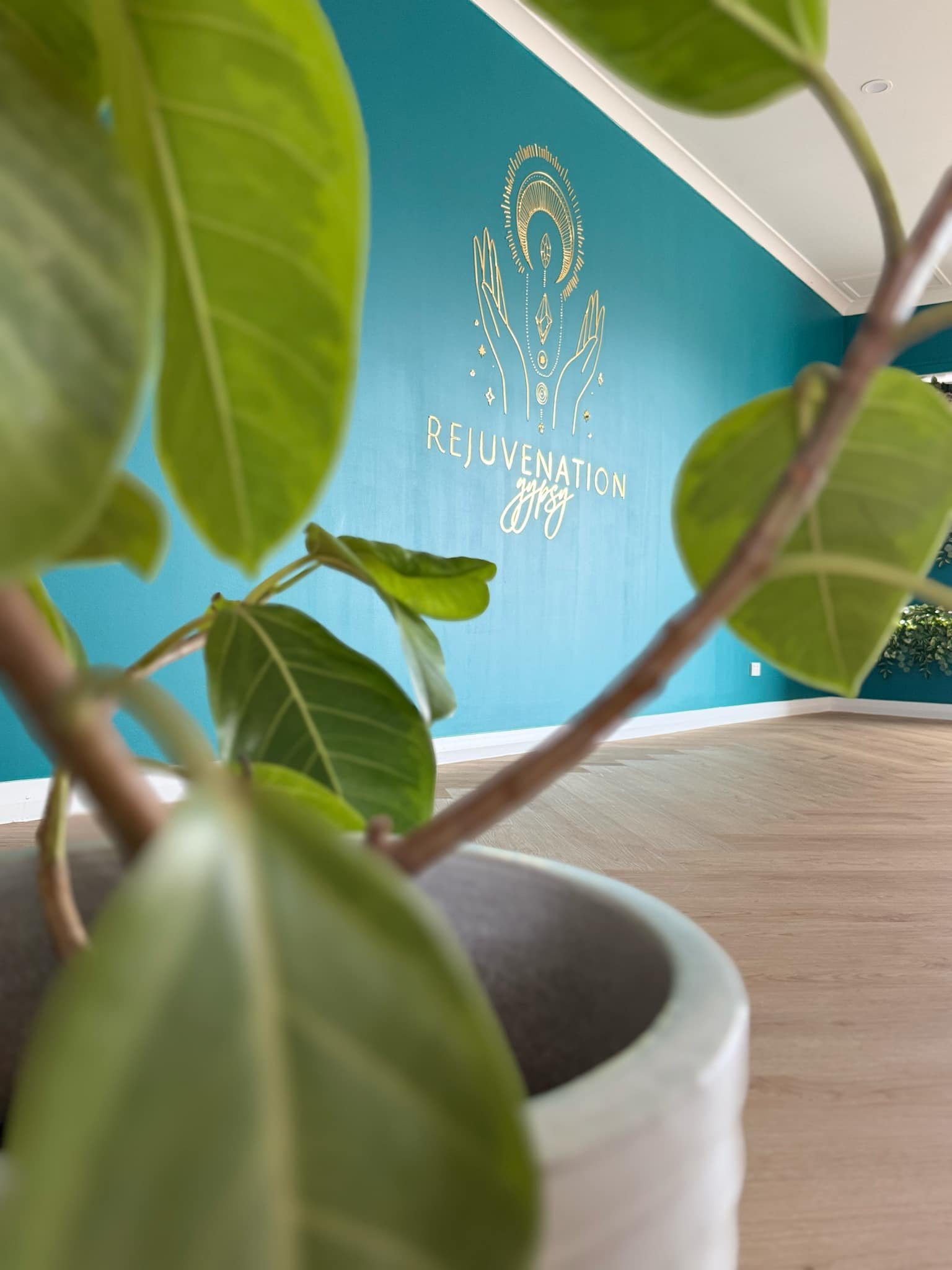 A8CA3919-FA24-45EC-9C93-5B993C067C2F_L0_001-17_5_2025, 2_49_31 pm.jpg