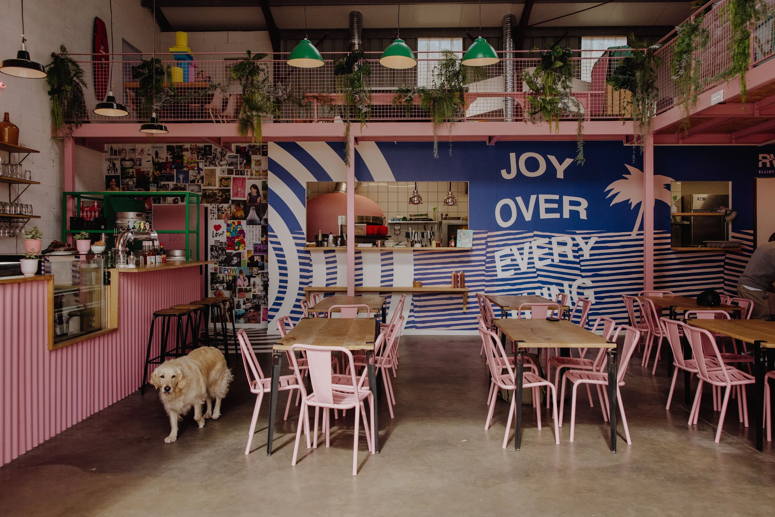 Un intérieur de café ou restaurant coloré avec des murs peints en bleu, rose et blanc, décoration murale avec des photos et un message « Joy Over Every » en lettres blanches, tables en bois entourées de chaises roses, un chien golden retriever à gauche près du comptoir, et des plantes suspendues au plafond.