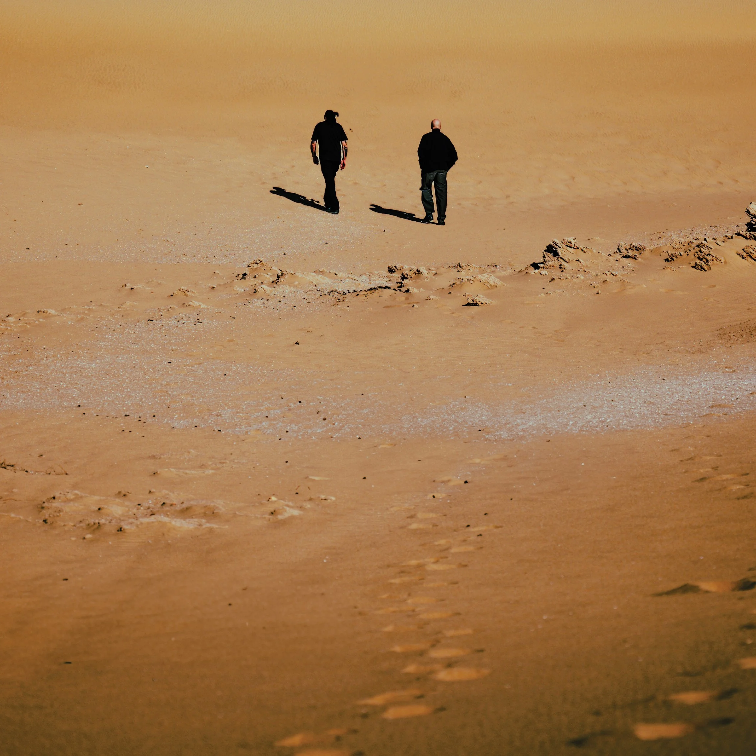 DSC_9304-Modifier copie 2.jpg