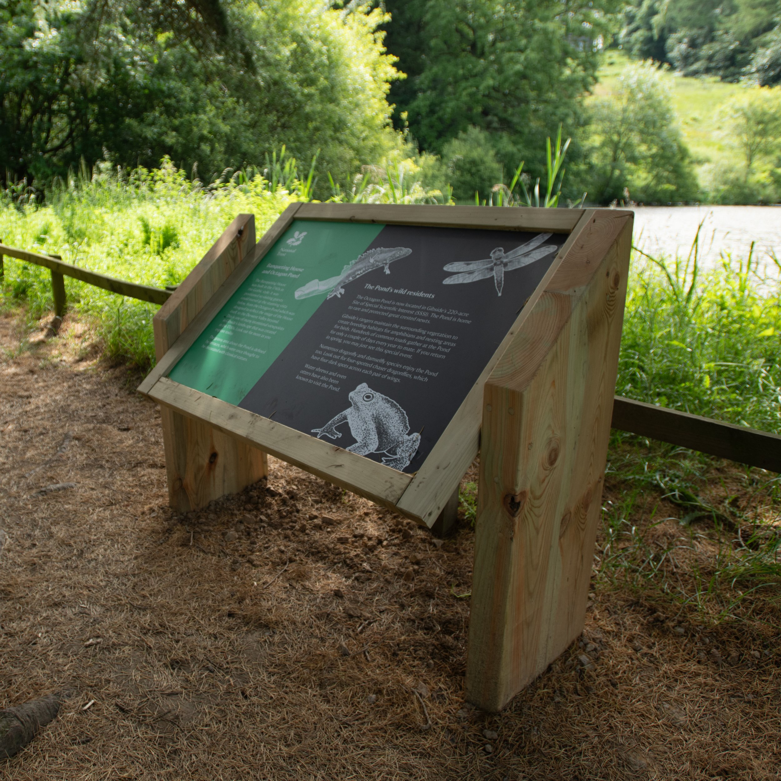 An image showing a full interpretation panel at National Trusts Gibside estate. The panel has information about the Banqueting House and Octagon Pond, as well as the ponds wild residents. The panel has illustrations of a newt, dragonfly and frog.