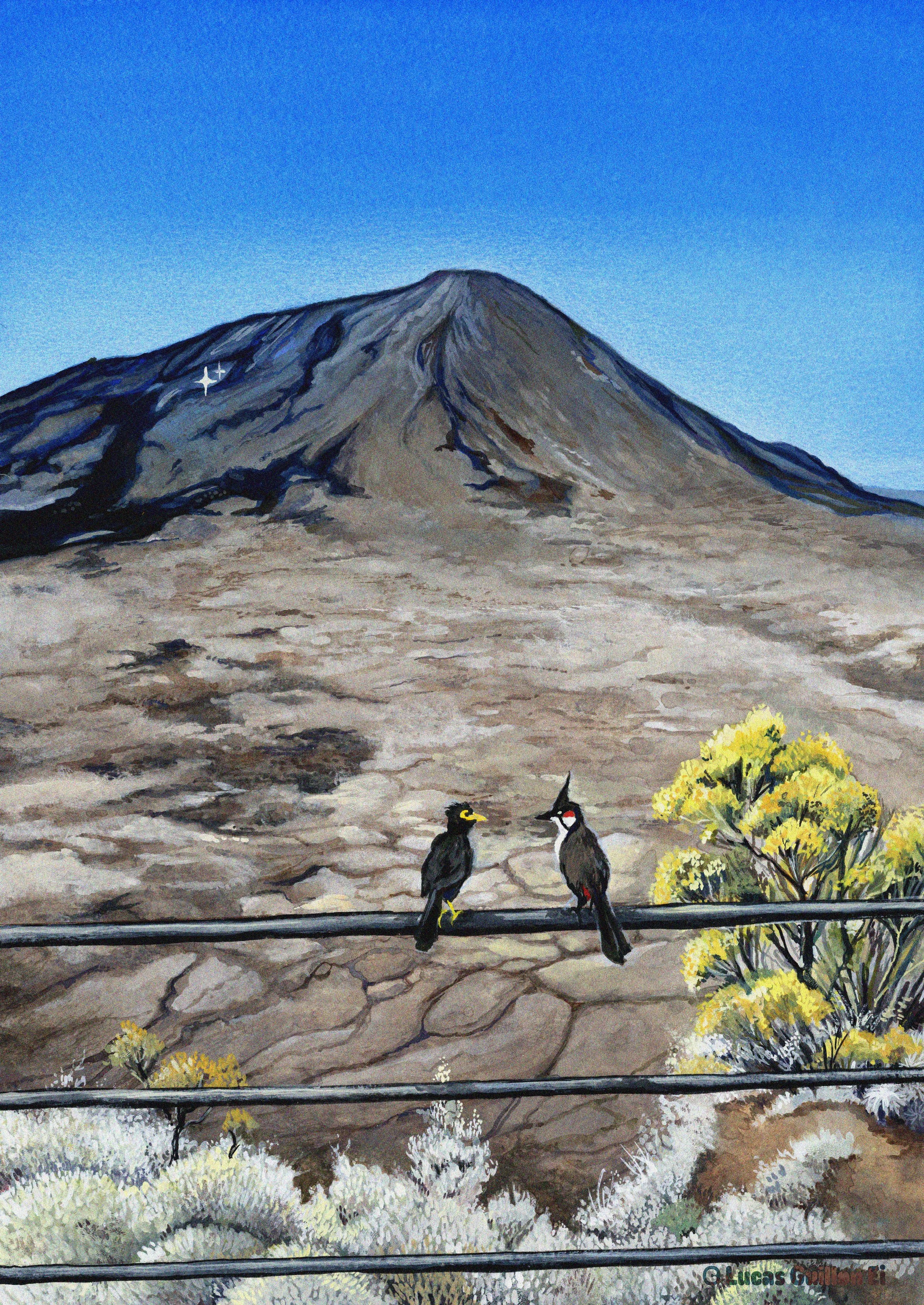 Le Piton de la Fournaise