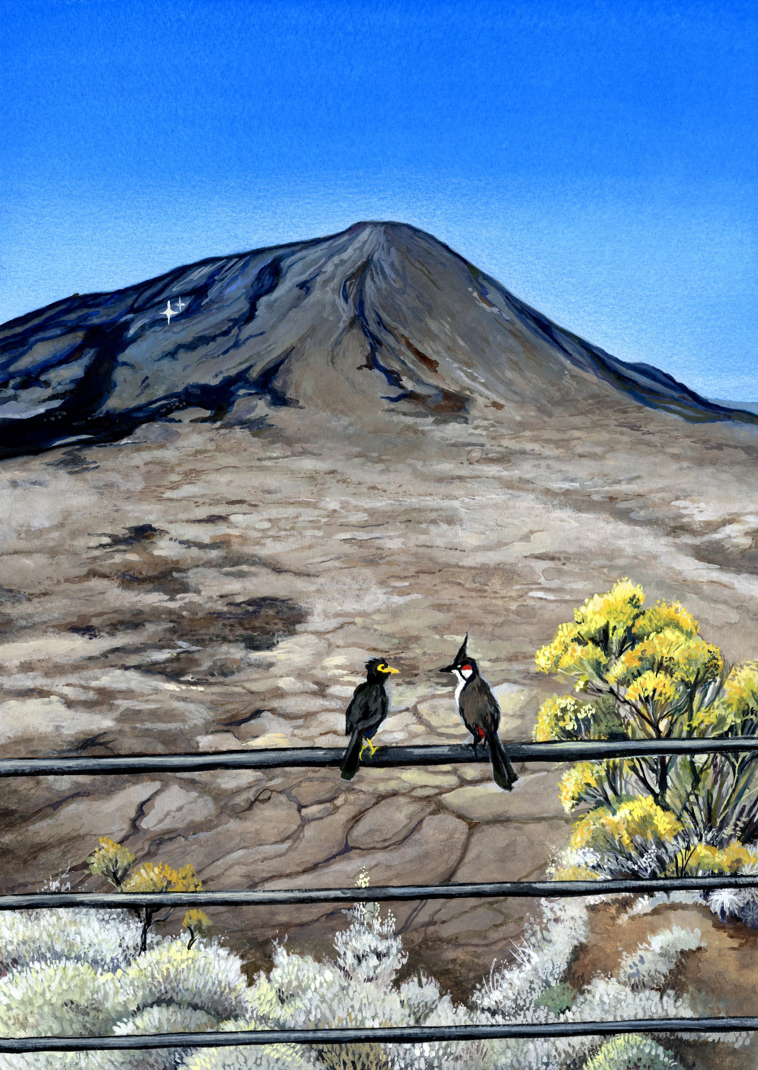 Oeuvre Originale - Le Piton de la Fournaise
