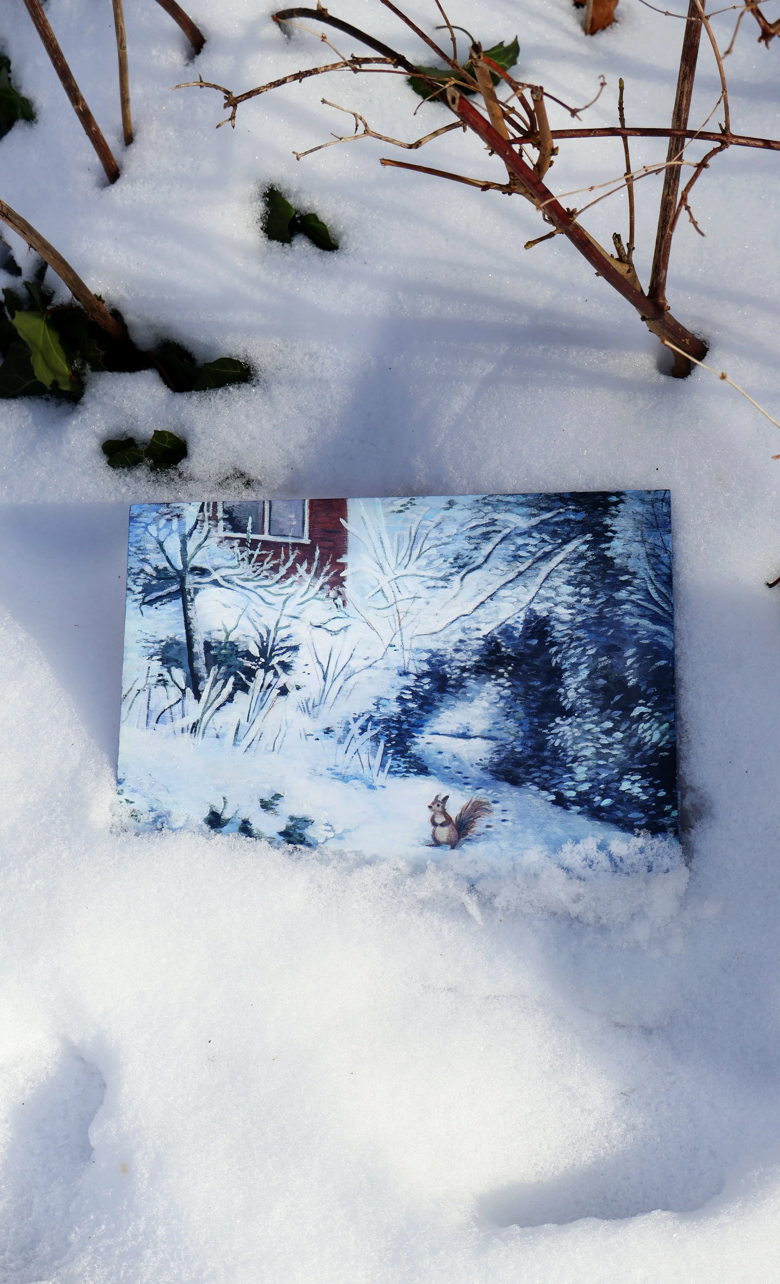 L’Écureuil qui découvre la neige 🐿️