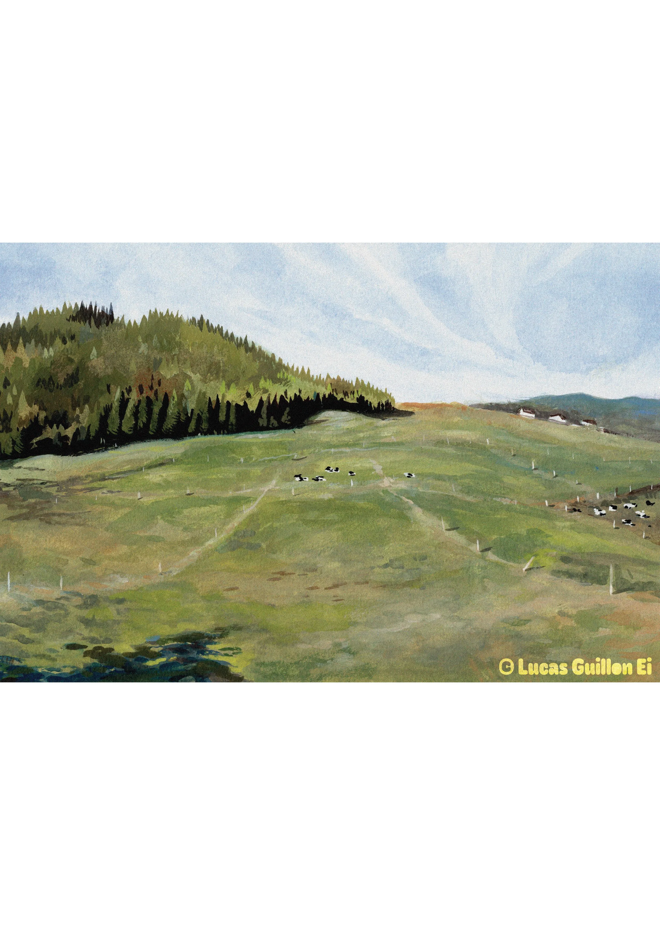 Le champs au petites vaches