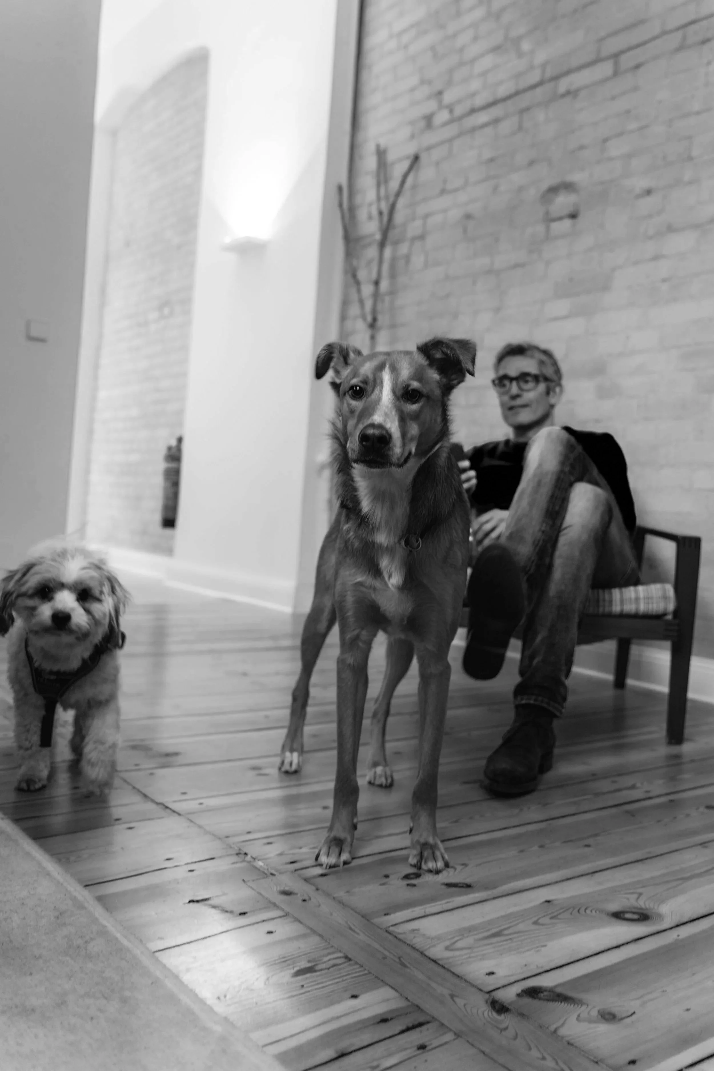 Modern wooden house on a hillside with tall grass and a few small trees, overlooking a large lake with mountains in the background under a cloudy sky.