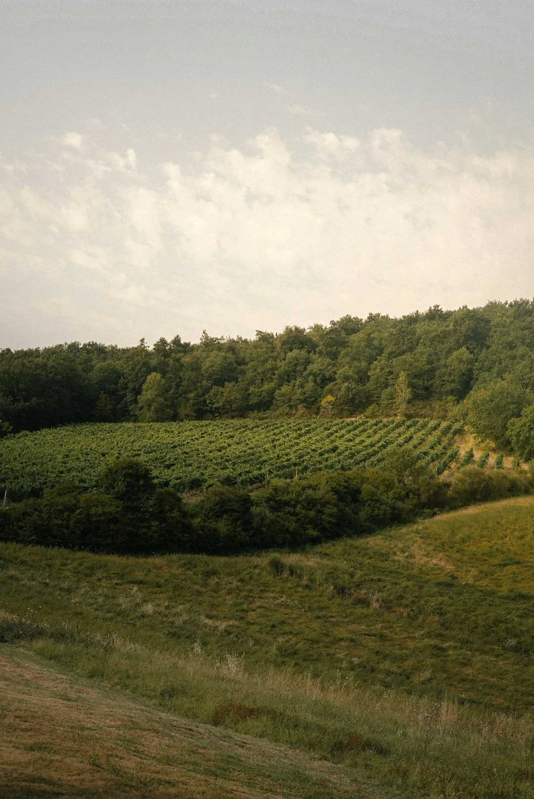 CasanovadiNeri-25.JPG