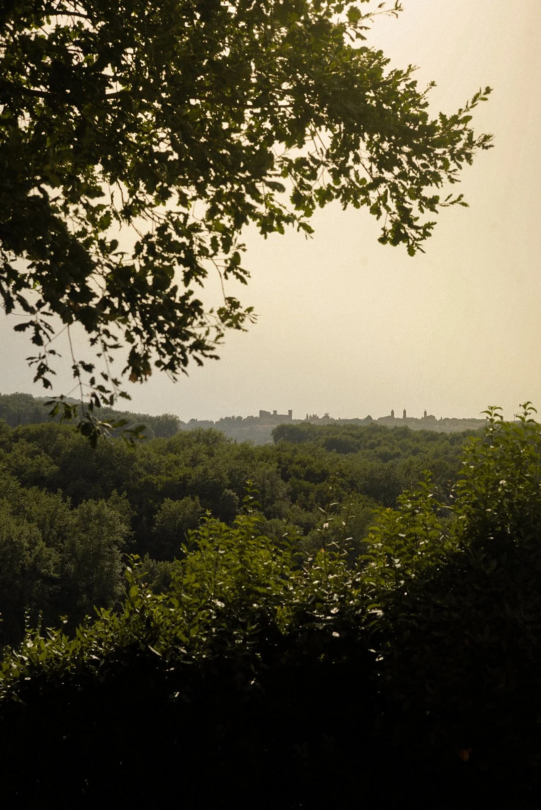 CasanovadiNeri-69.JPG