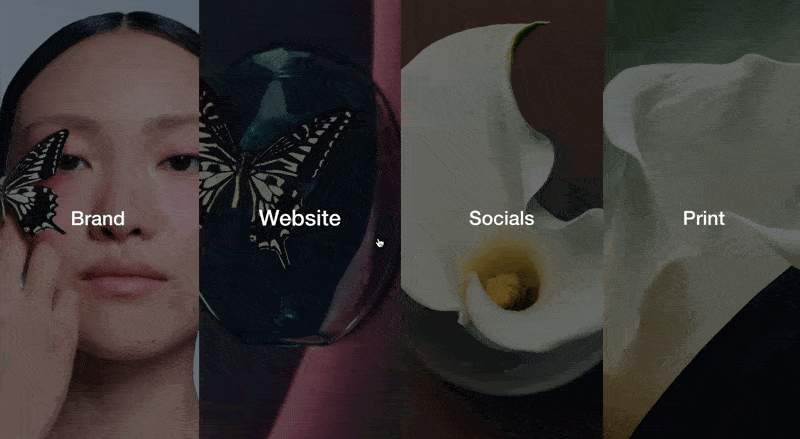 animated-autolist.gif