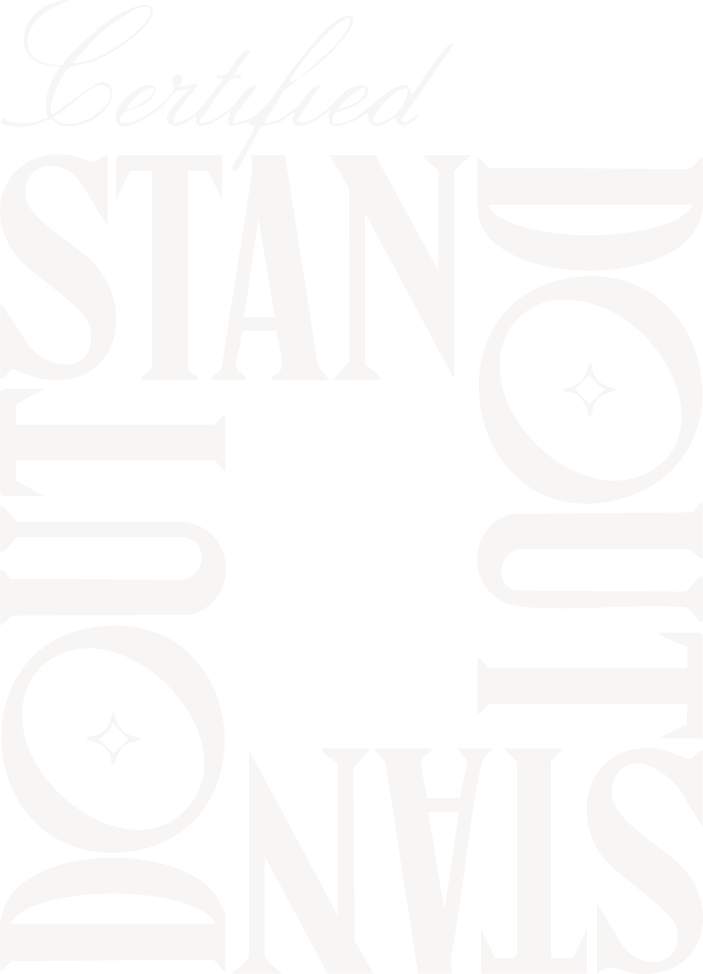 Ein Logo-Text-Element "Certified STANDOUT Member 2023" in weißen, stilvollen Buchstaben auf schwarzem Hintergrund.