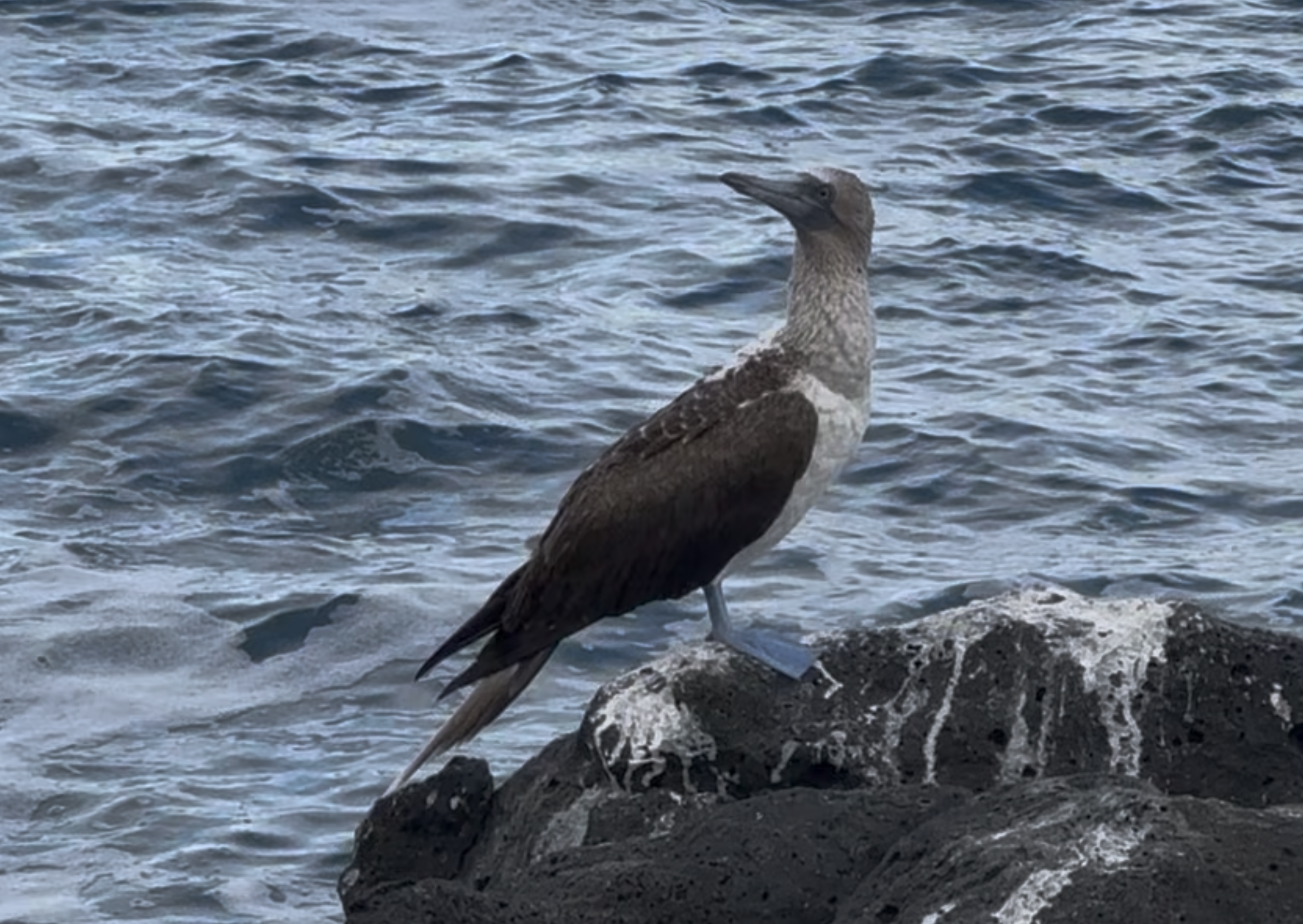 Bild 09.02.26 um 13.01.png