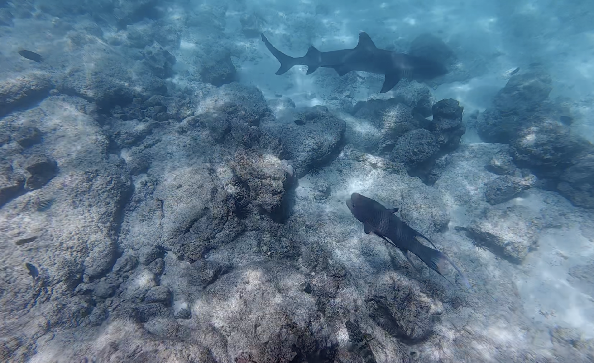 Ausflug nach Seymour Island