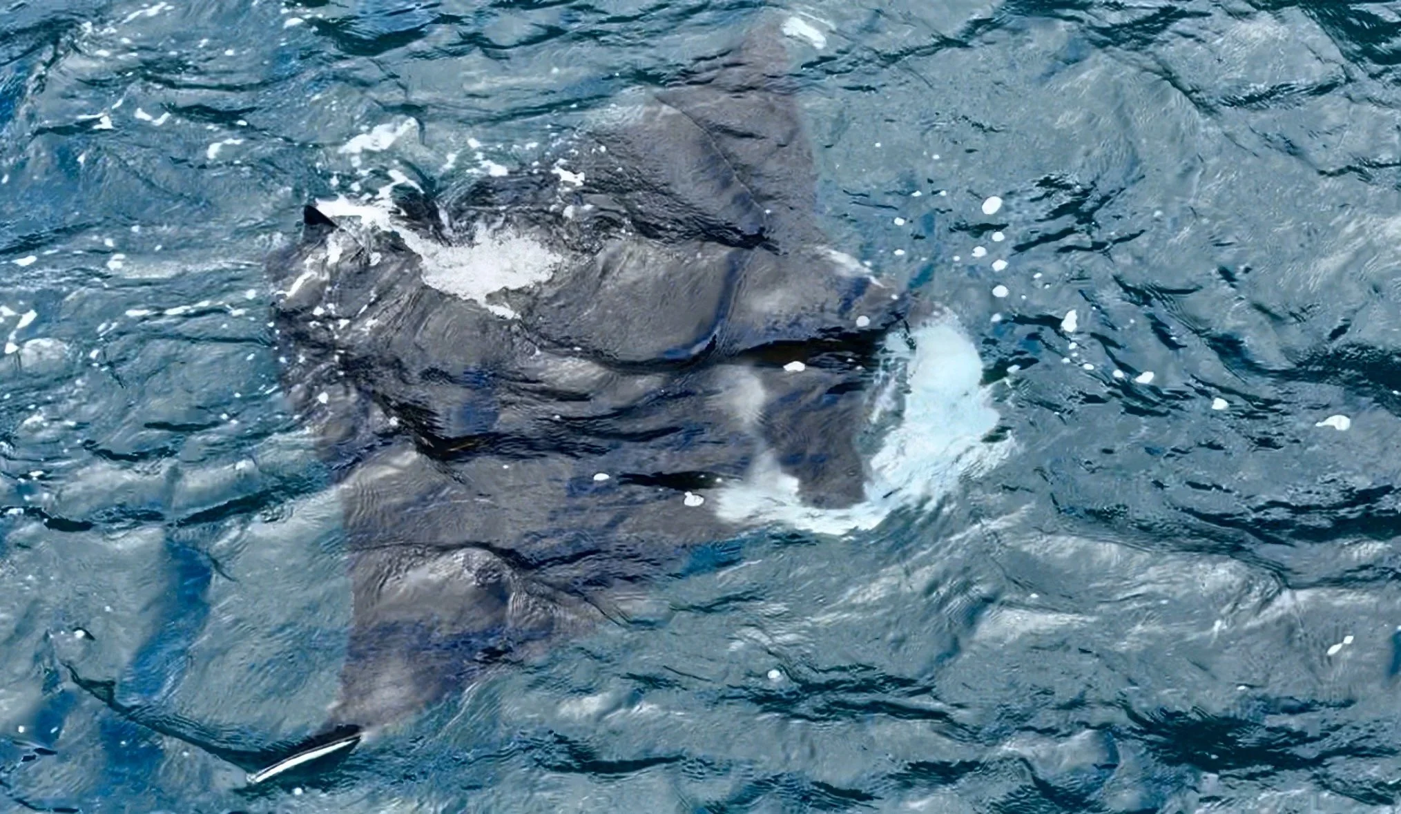 Nuku Hiva - Taioha´e Bay 16.3.26