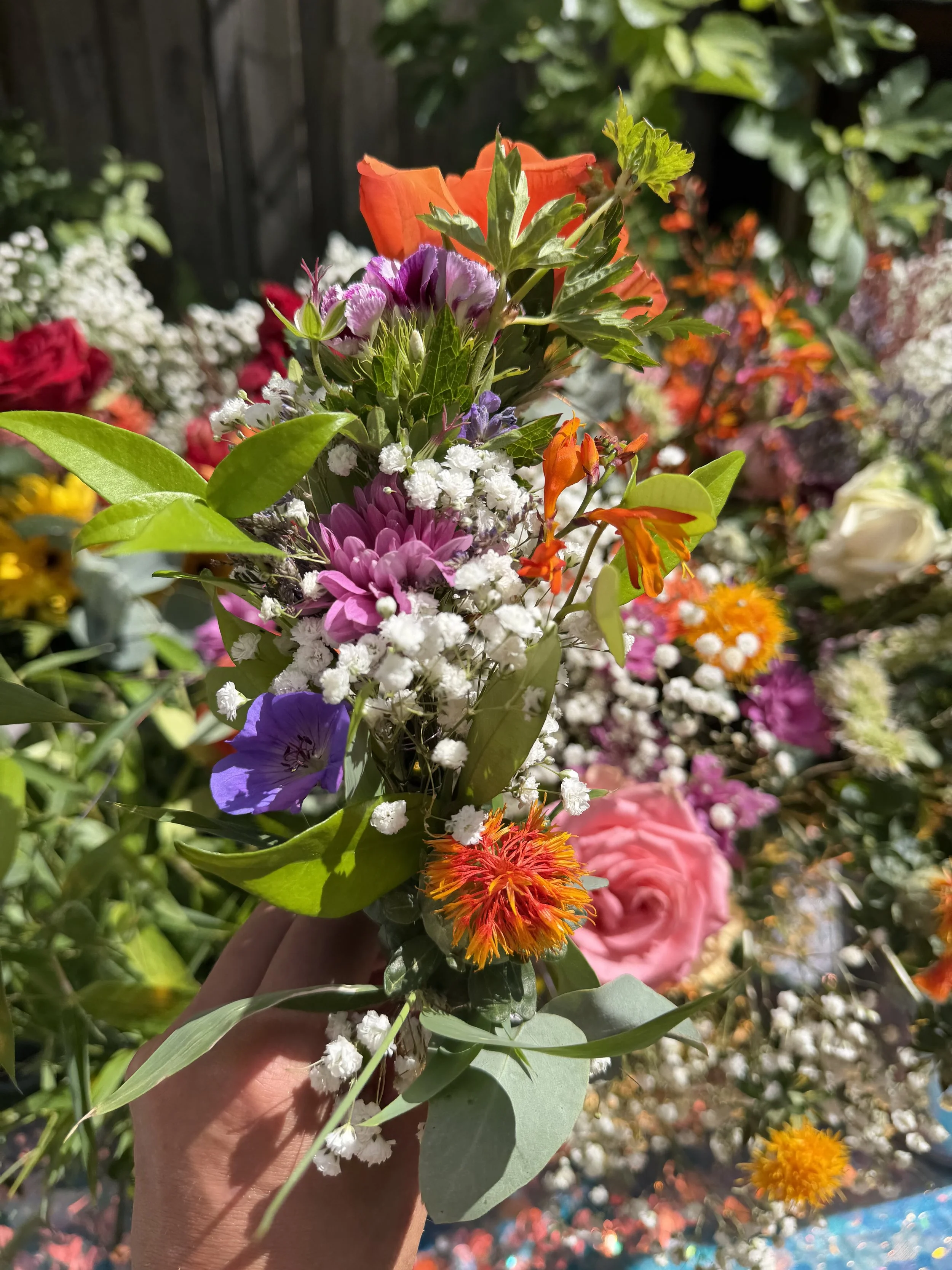 A hand holding a bouquet of various colorful flowers in sunlight, with a blurred background of more flowers and greenery.