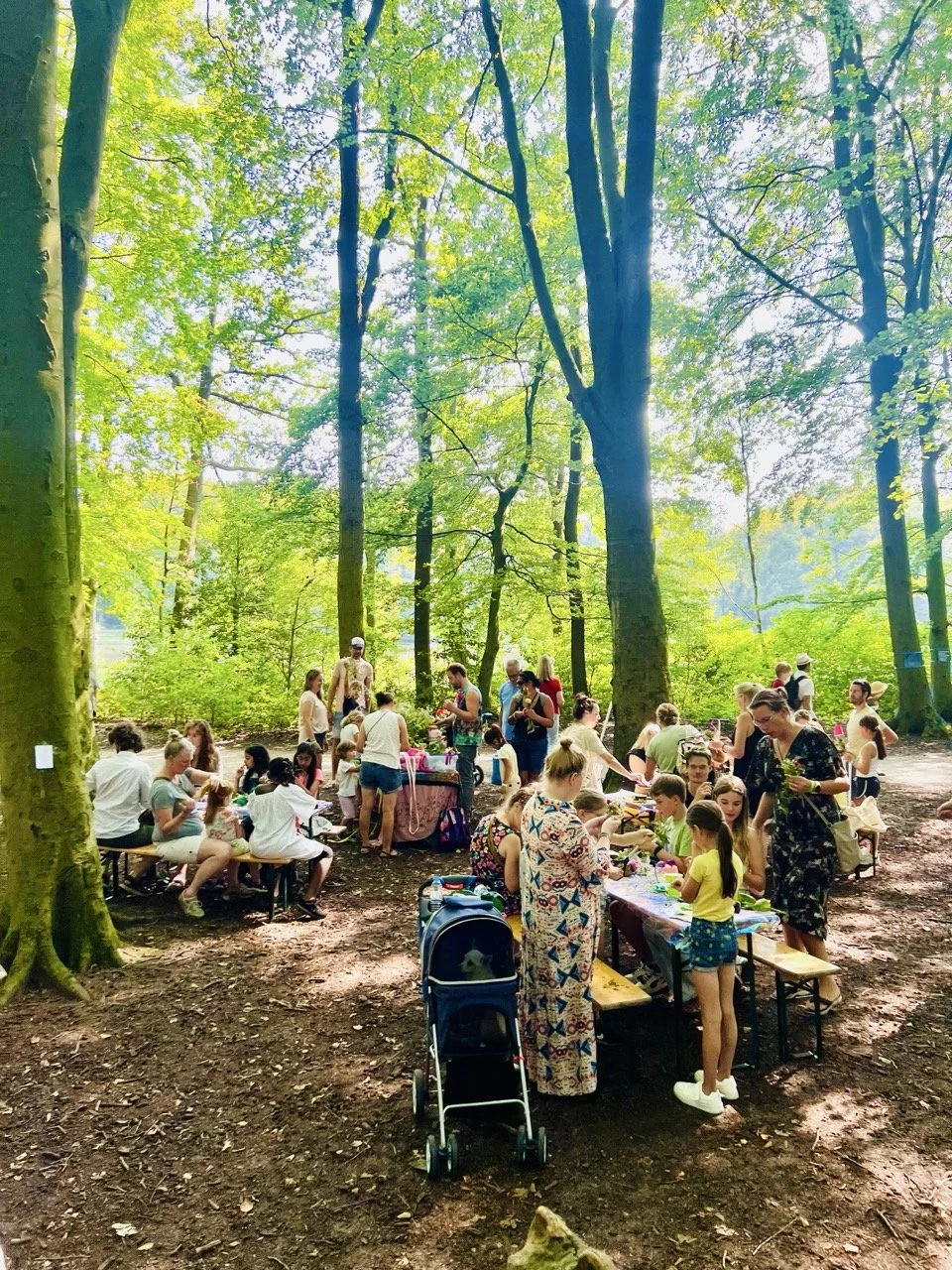 People gathered in a forest for a daytime outdoor event, with children and adults sitting at picnic tables and engaging in activities, surrounded by tall trees and green foliage.