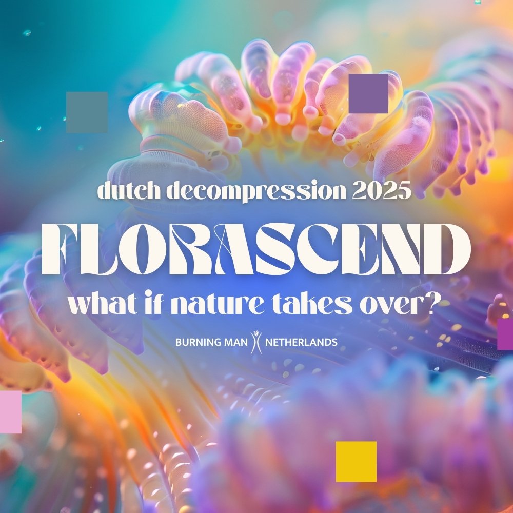Colorful close-up of a sea anemone with translucent, tentacle-like structures in pink, purple, yellow, and blue hues, with overlaid text about Dutch decompression and florascend in the Netherlands.