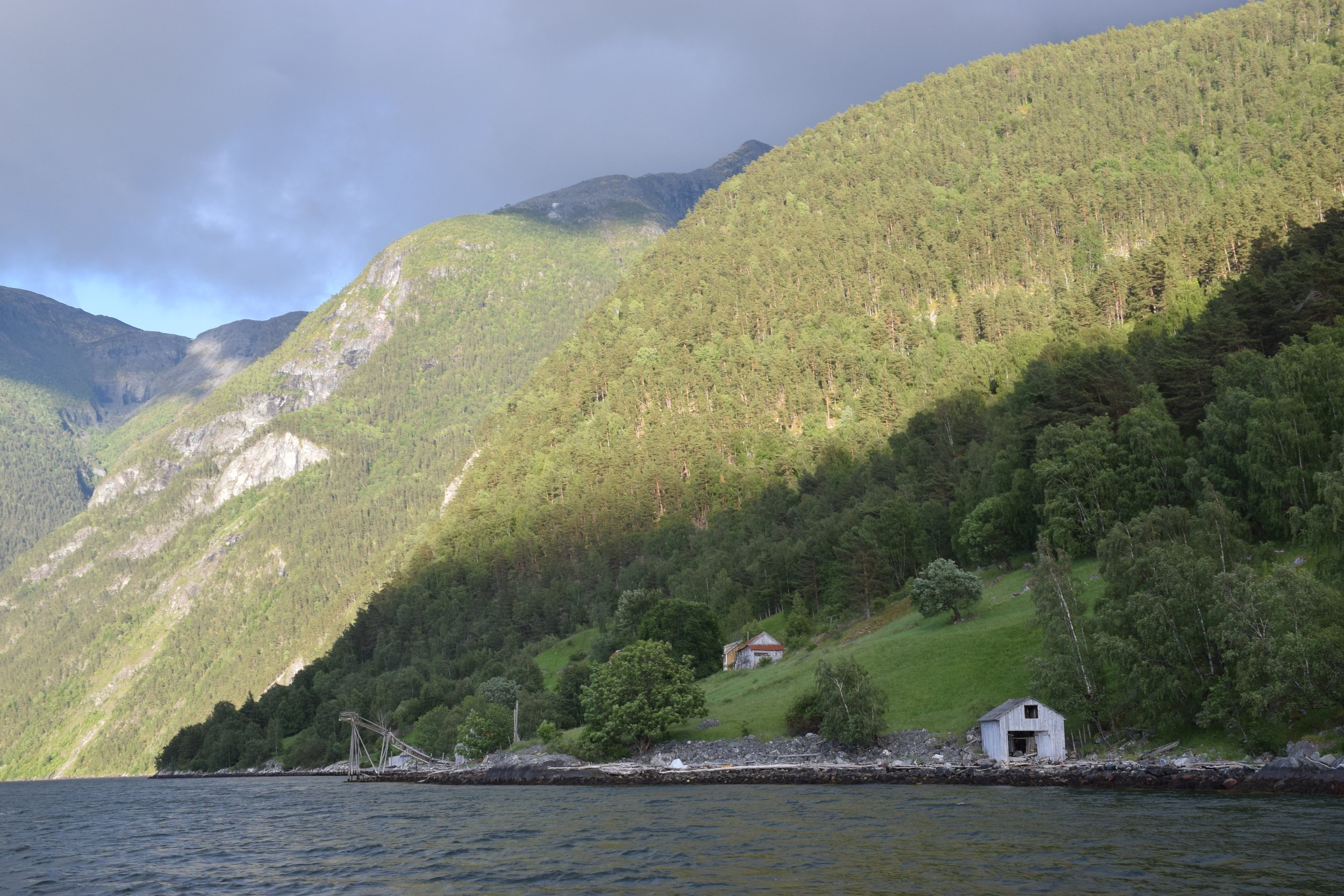 Fjell, skog og hus langs fjorden.