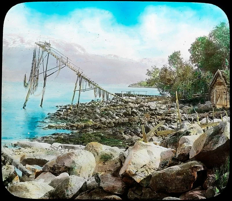 En steinbelagt kyst med en forfallen brygge og trær i bakgrunnen under en blå himmel