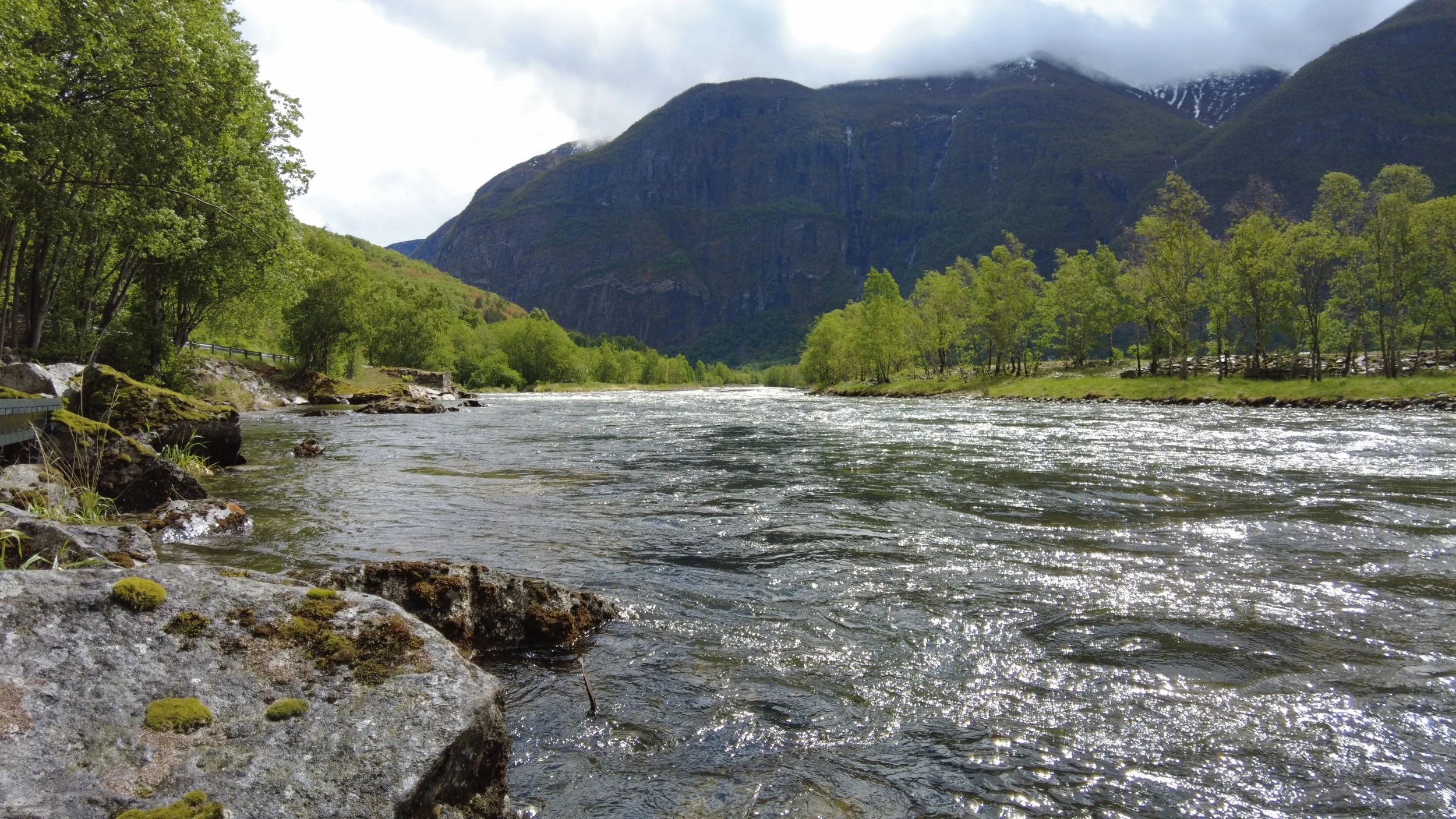 Elv med skog på begge sider, fjell i bakgrunnen, overskyet vær.