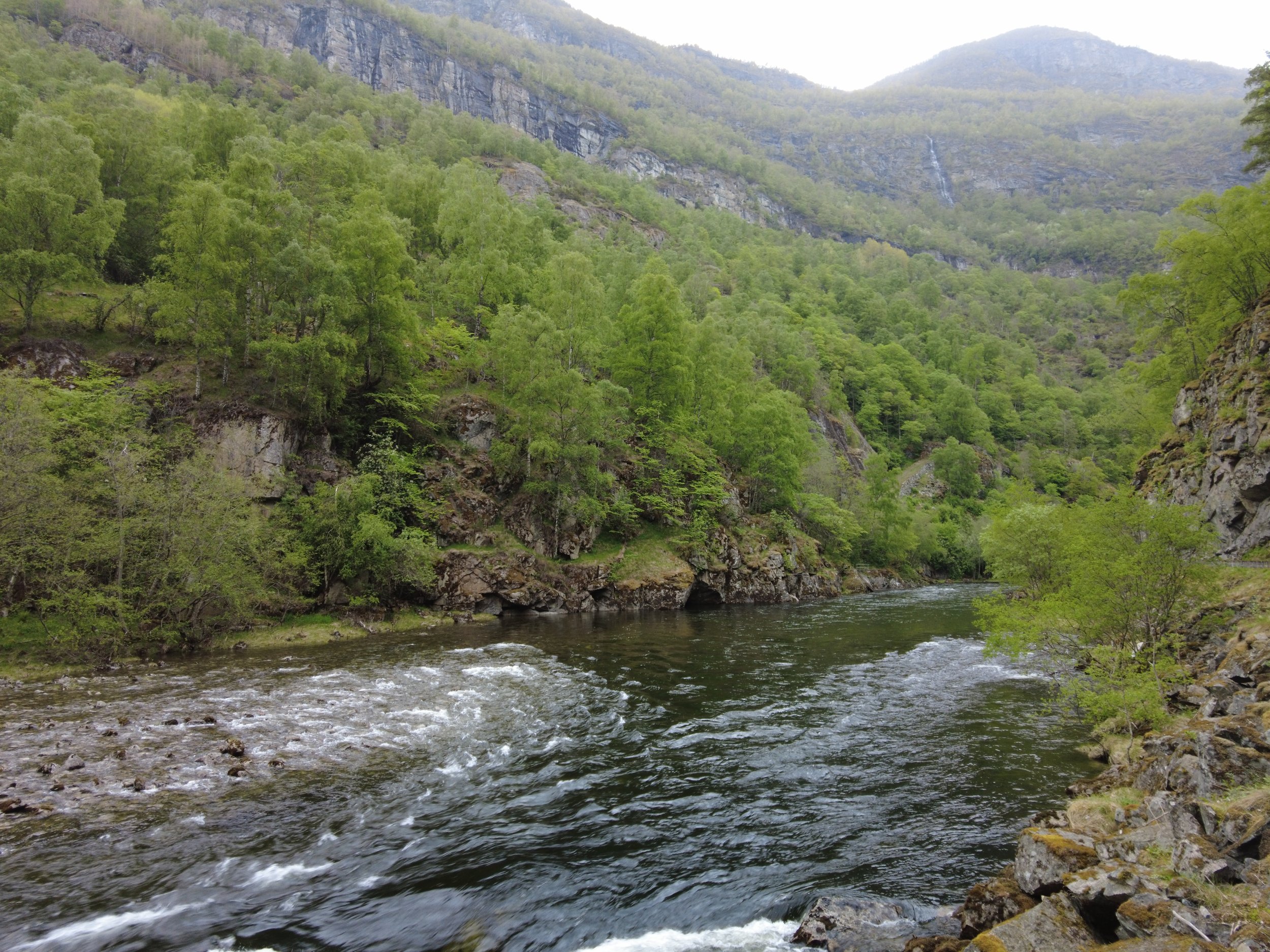 En elv flyter gjennom en grønn fjellskråning med trær og klipper, og det er en liten foss i bakgrunnen.