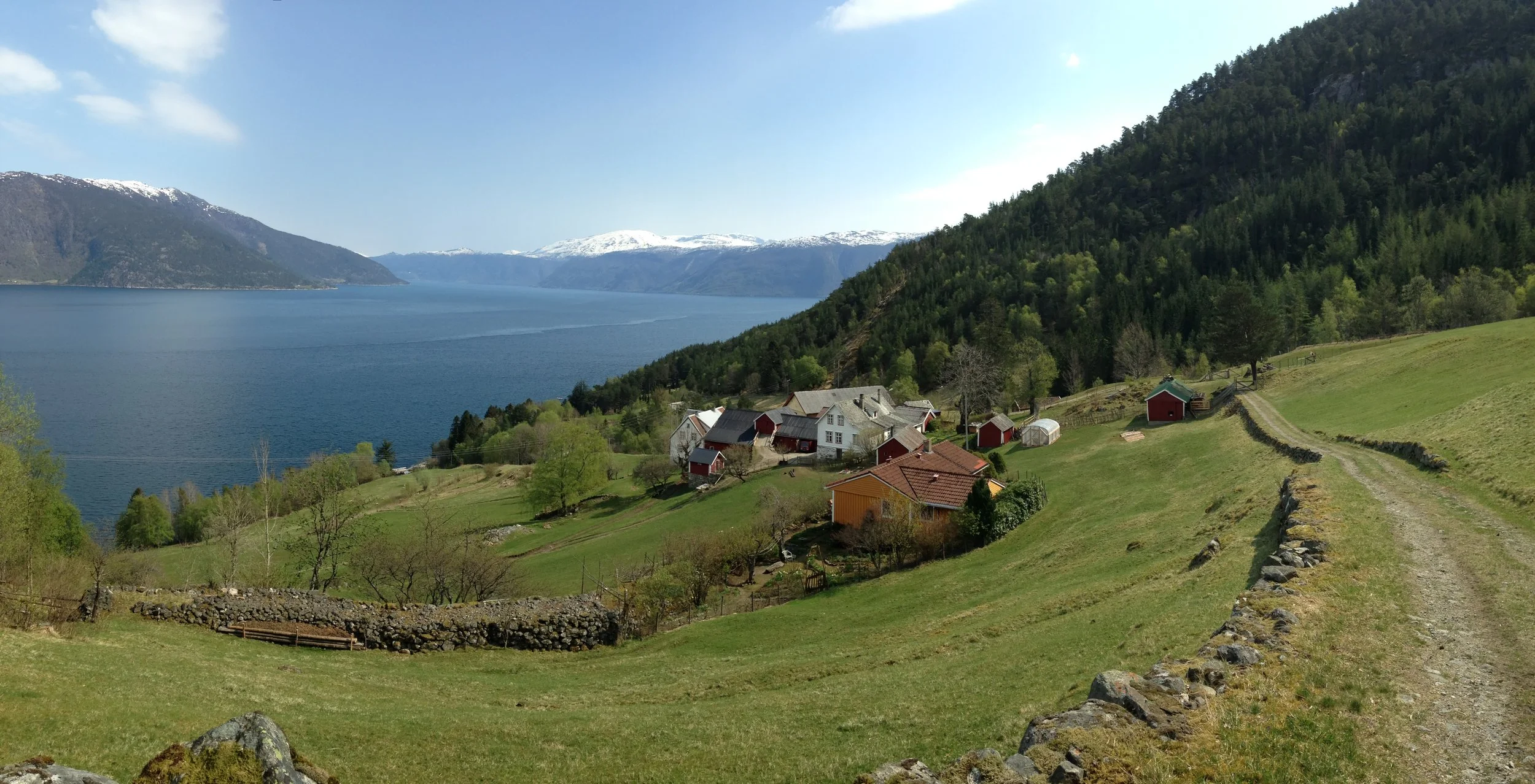 Landskap med fjord, fjell med snø, grønne åser, gårder med hus og skog, og en grusvei.