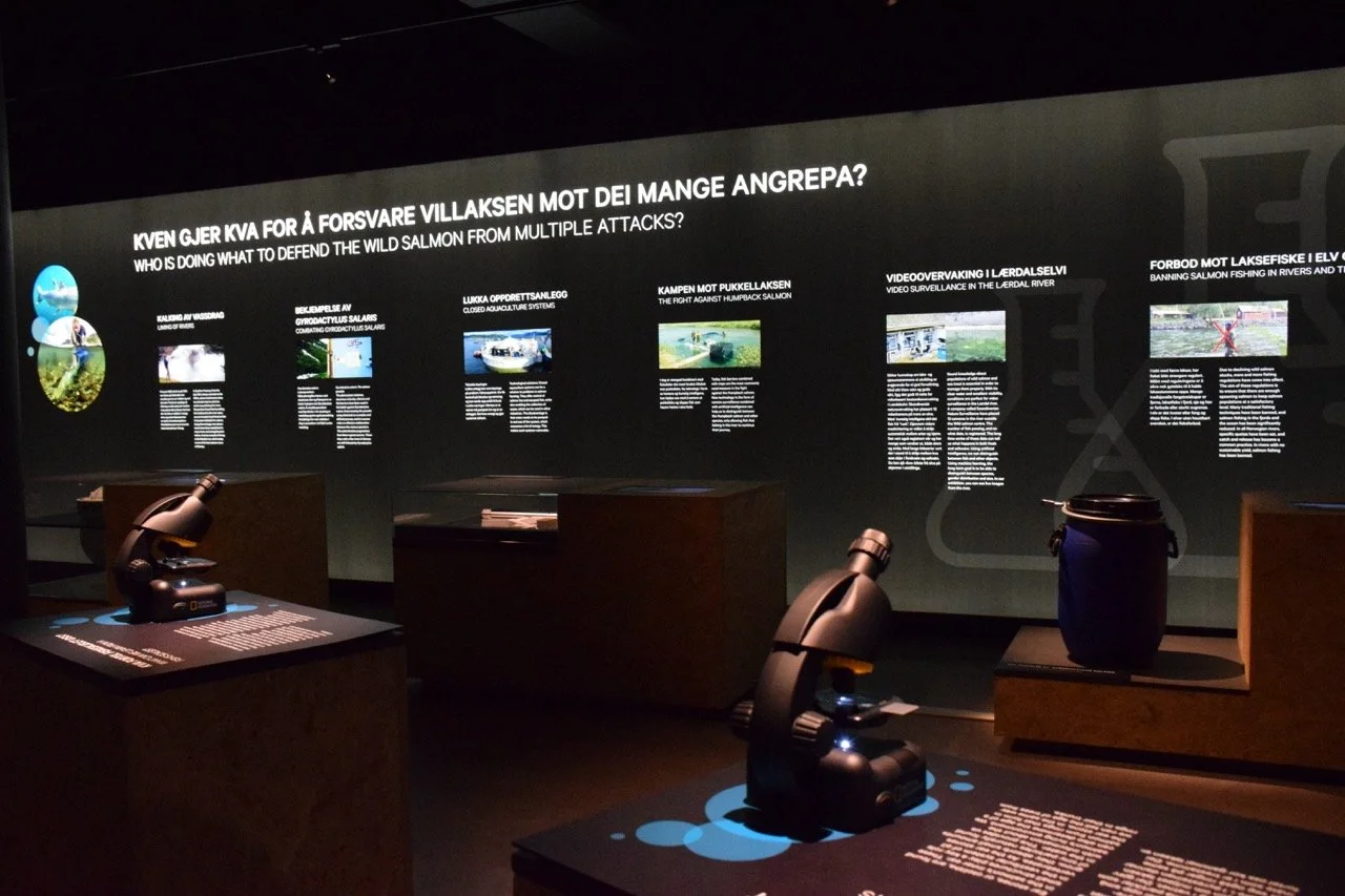 Utstilling med mikroskoper og informative plakater om å beskytte villaksen mot ukontrollerte angrep, med tekster på norsk og engelsk.