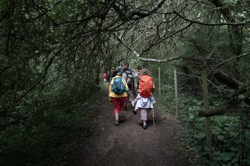 Geometric drawing of an outline square with sections divided by vertical, horizontal, and circle lines.